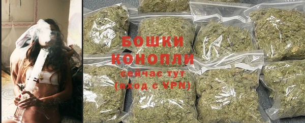 трава Арсеньев