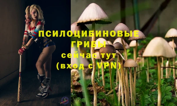 трава Арсеньев