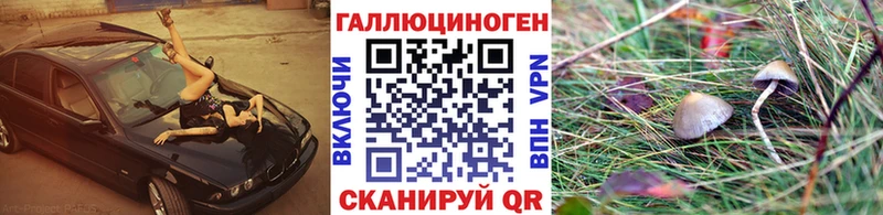 купить закладку  Каргат  Галлюциногенные грибы Magic Shrooms 